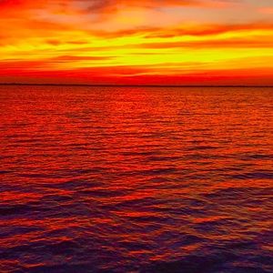 Meet your Posher, Owen